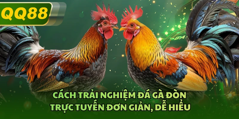 Cách trải nghiệm đá gà đòn trực tuyến đơn giản, dễ hiểu