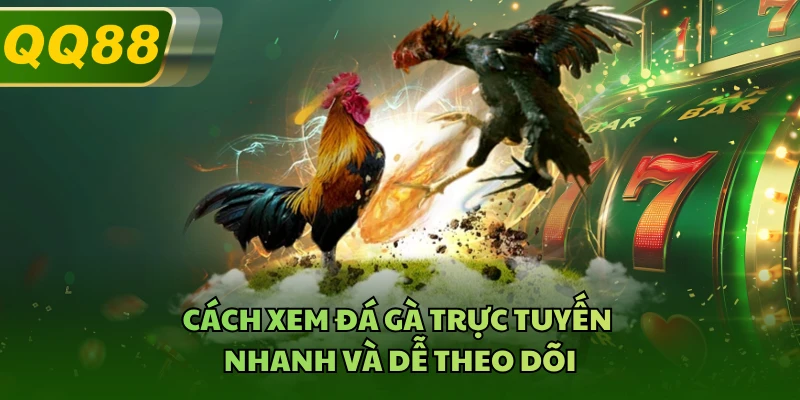 Cách xem đá gà trực tuyến nhanh và dễ theo dõi 