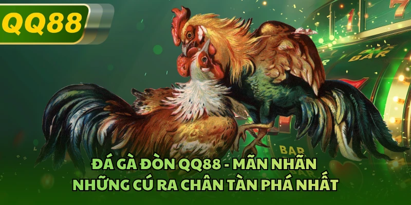 Đá Gà Đòn QQ88 - Mãn Nhãn Những Cú Ra Chân Tàn Phá Nhất