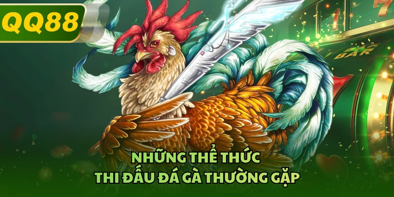 Những thể thức thi đấu đá gà thường gặp 