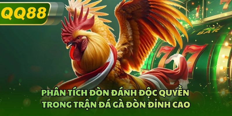 Phân tích đòn đánh độc quyền trong trận đá gà đòn đỉnh cao